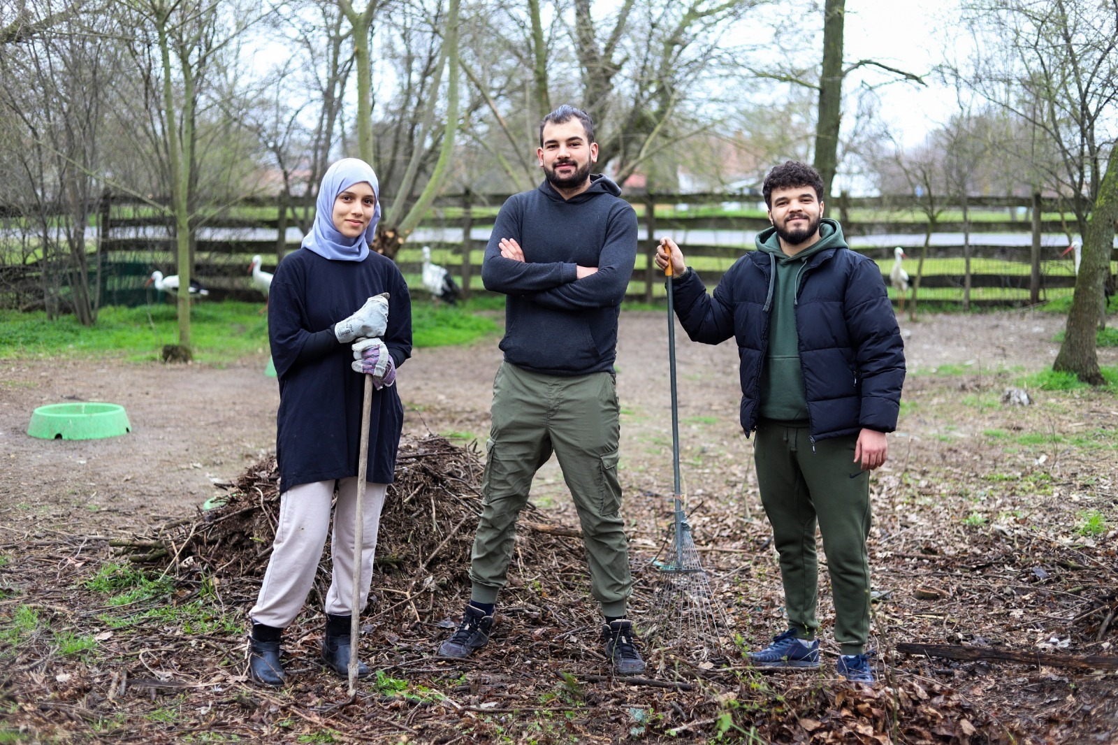 madarkorhaz 3dolgos onkentes jooo